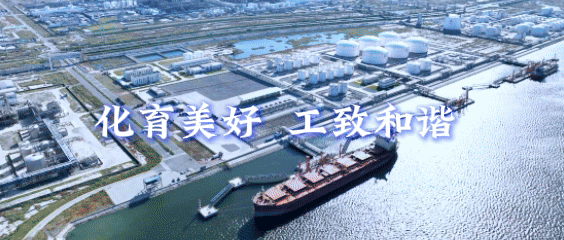 MK体育官方入口-天津渤海化学股份有限公司2026年职工羽毛球比赛圆满落幕|男子单打|女子单打|赛场|刘健|力量_新浪体育_新浪新闻